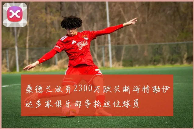 桑德兰放弃2300万欧买断海特勒伊达多家俱乐部争抢这位球员